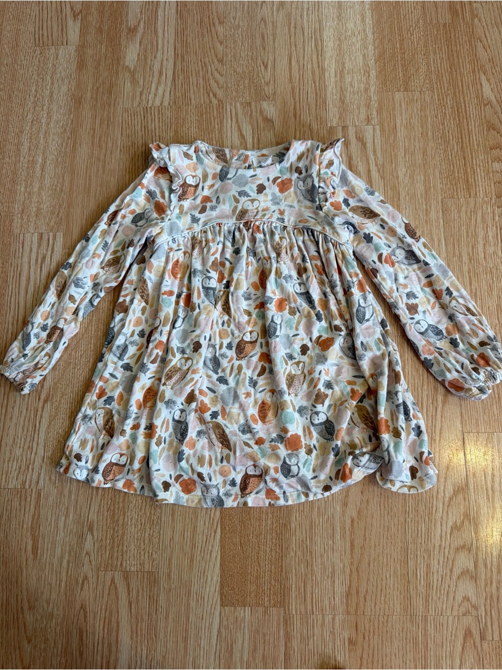 Angel Dear Toddler Girls Bamboo Owl Print Long Sleeve Ruffle Dress Size 2T